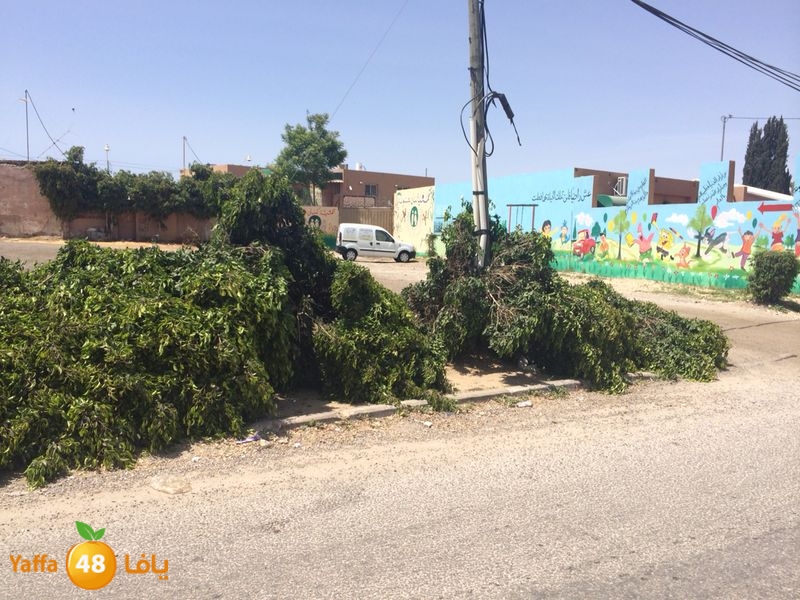 kenan 7ashouna 0503 (10).JPG